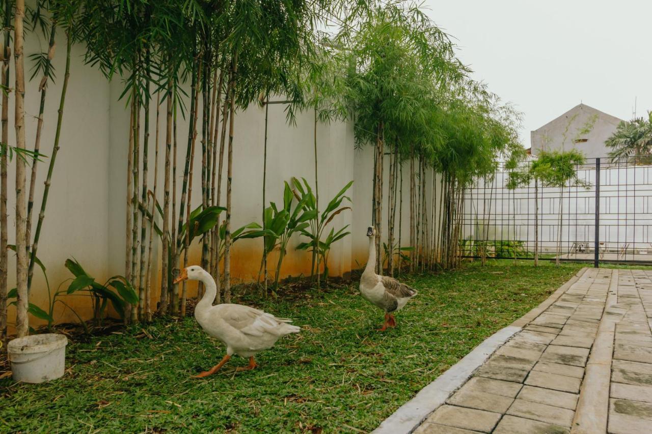 ג'קרטה Urbanest Inn House Slipi מראה חיצוני תמונה